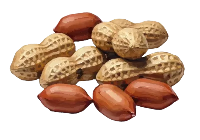 Imagen PNG para descargar